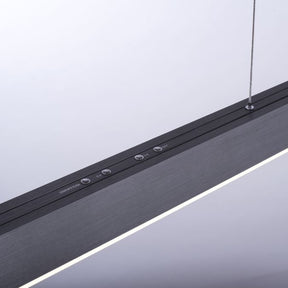 Paul Neuhaus - Pendelleuchte Pure Moto e-Slide
