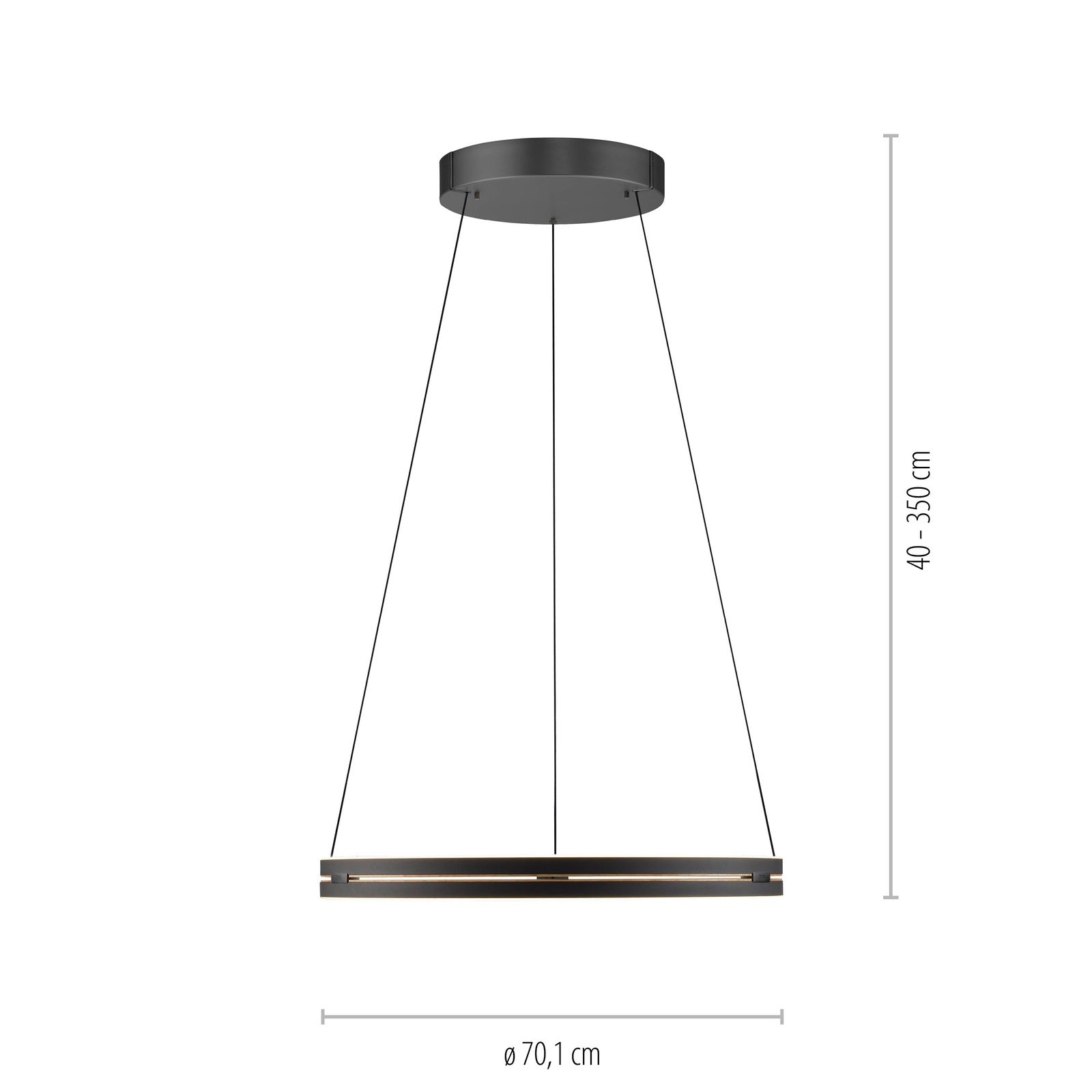 Paul Neuhaus Pendelleuchte Pure E-Loop LED