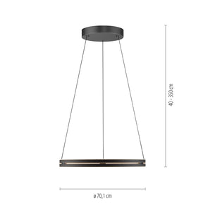 Paul Neuhaus Pendelleuchte Pure E-Loop LED