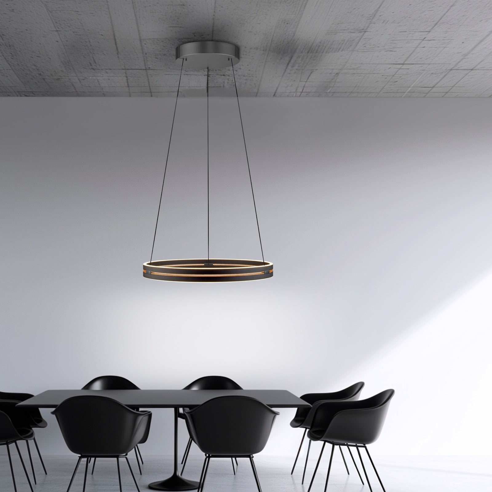 Paul Neuhaus Pendelleuchte Pure E-Loop LED