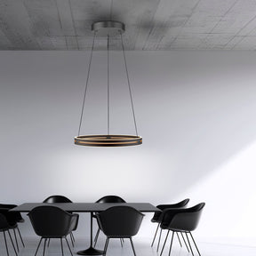 Paul Neuhaus Pendelleuchte Pure E-Loop LED