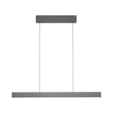 Paul Neuhaus-Pendelleuchte Pure E-Motion