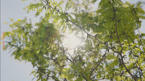 IP44.de - Solarleuchte qua